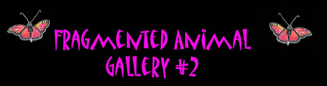 Image of fragnewtitl.jpg