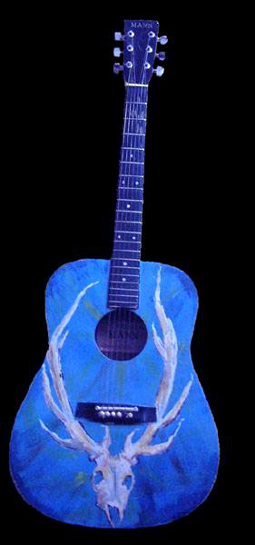 Image of guitar-blueac2b-fw.jpg