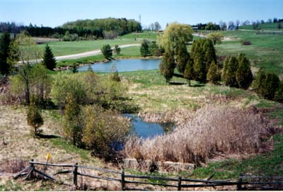 Image of bathurstfarmphoto.jpg