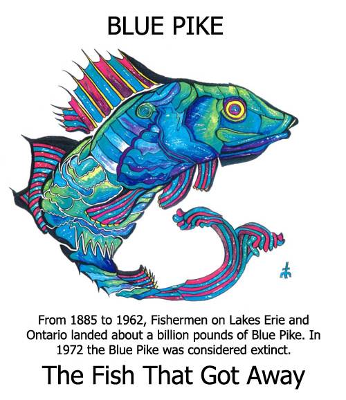 Image of bluepikeb2.jpg